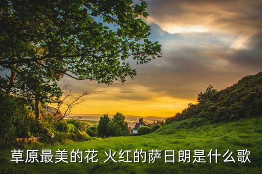 草原最美的花 火红的萨日朗是什么歌