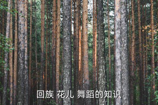 回族 花儿 舞蹈的知识