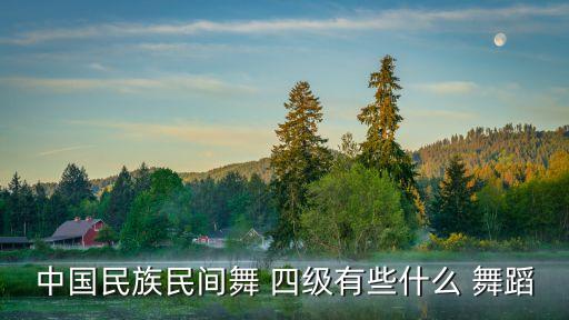 中国协会舞蹈考级四级,中国舞蹈协会四级考级舞蹈《大公鸡》