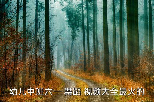 幼儿中班六一 舞蹈 视频大全最火的