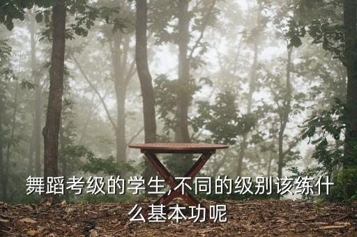 舞蹈二级班要求踢腿,舞蹈班踢腿音乐