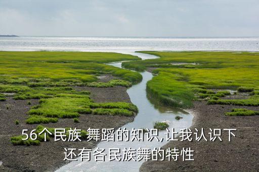 56个民族 舞蹈的知识,让我认识下还有各民族舞的特性