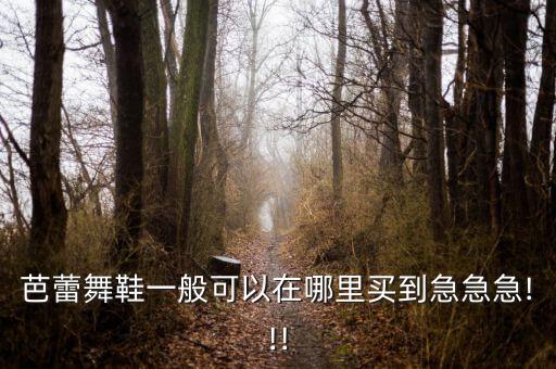 芭蕾舞鞋一般可以在哪里买到急急急!!!