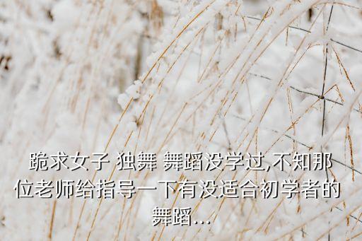 跪求女子 独舞 舞蹈没学过,不知那位老师给指导一下有没适合初学者的 舞蹈...