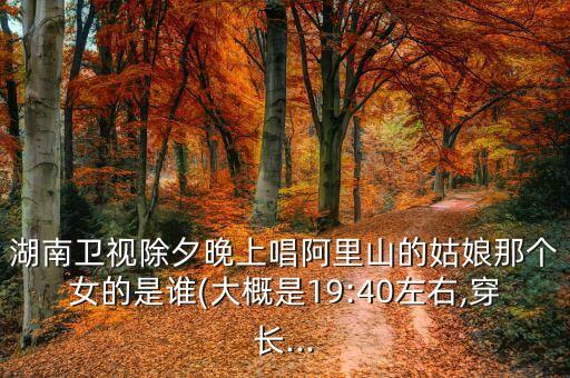 湖南卫视除夕晚上唱阿里山的姑娘那个女的是谁(大概是19:40左右,穿长...