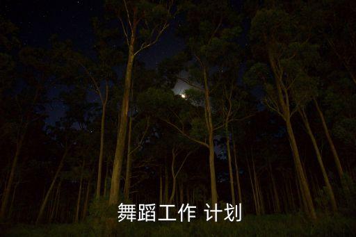 学生学习舞蹈学习计划,关于舞蹈学生的总结和计划
