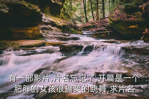 有一部影片,片名忘记了,开篇是一个肥胖的女孩很搞笑的跳舞,求片名