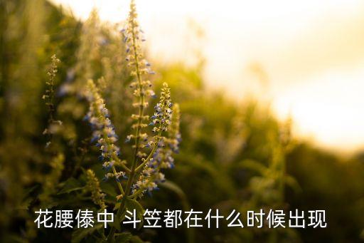 关于傣族斗笠的舞蹈视频,《月光下的凤尾竹》傣族舞蹈视频