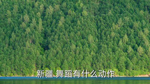  新疆 舞蹈有什么动作
