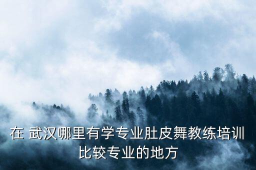 在 武汉哪里有学专业肚皮舞教练培训比较专业的地方