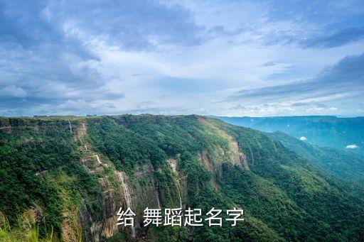 给 舞蹈起名字