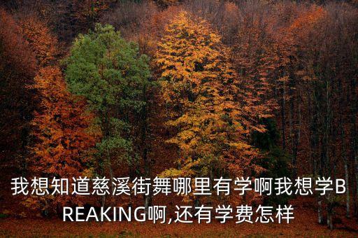 我想知道慈溪街舞哪里有学啊我想学BREAKING啊,还有学费怎样