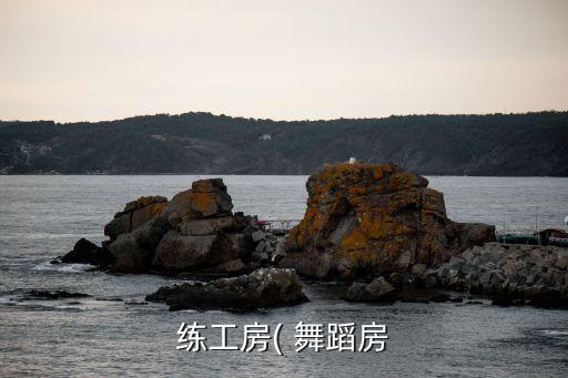练工房( 舞蹈房