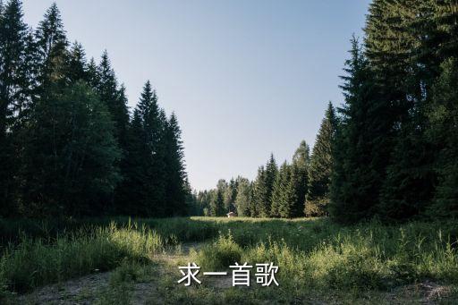 大家一起来舞蹈mp3