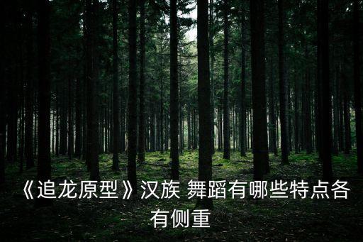 《追龙原型》汉族 舞蹈有哪些特点各有侧重