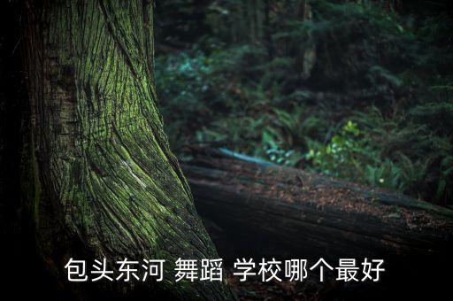 包头东河 舞蹈 学校哪个最好