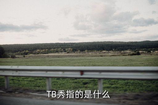 TB秀指的是什么