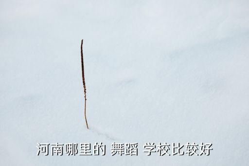 中国南方舞蹈学校论坛,南方舞蹈学校训练时有多可怕