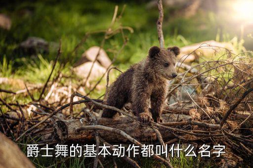 唱身体部位名称的舞蹈视频,舞蹈身体部位名称及功能
