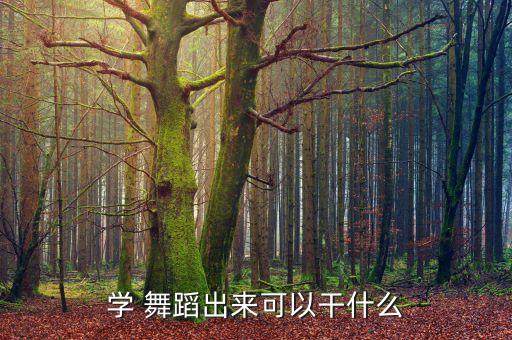学 舞蹈出来可以干什么