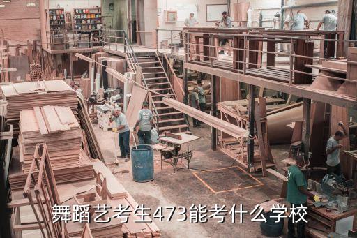  舞蹈艺考生473能考什么学校