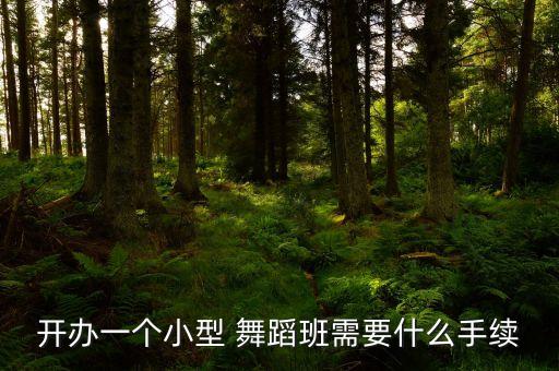 开办一个小型 舞蹈班需要什么手续