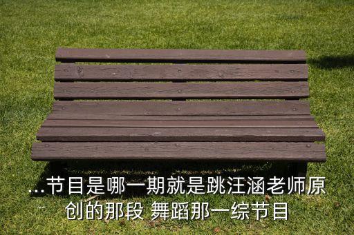 ...节目是哪一期就是跳汪涵老师原创的那段 舞蹈那一综节目