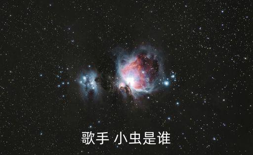 歌手 小虫是谁