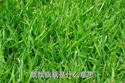 飘飘飖飖是什么意思