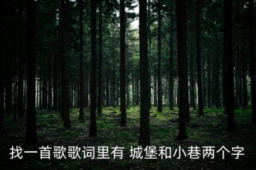 找一首歌歌词里有 城堡和小巷两个字