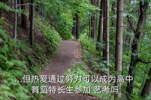 ...但热爱通过努力可以成为高中 舞蹈特长生参加 艺考吗