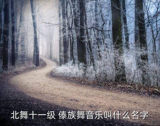 傣族舞蹈《回家》