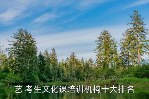 艺 考生文化课培训机构十大排名