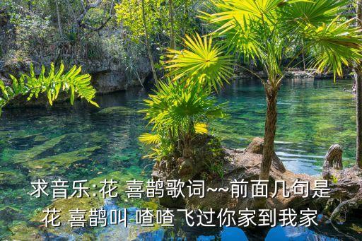 求音乐:花 喜鹊歌词~~前面几句是花 喜鹊叫 喳喳飞过你家到我家
