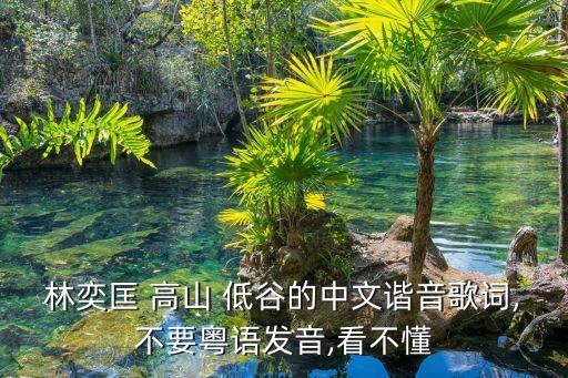 高山低谷都赞美的舞蹈
