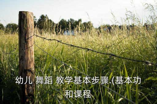 幼儿 舞蹈 教学基本步骤.(基本功和课程