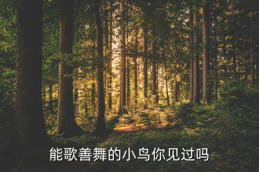 能歌善舞的小鸟你见过吗