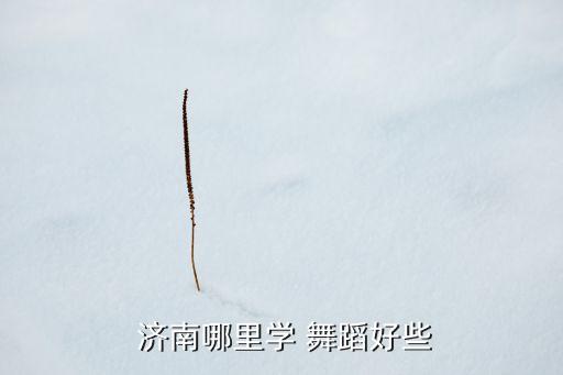  济南哪里学 舞蹈好些