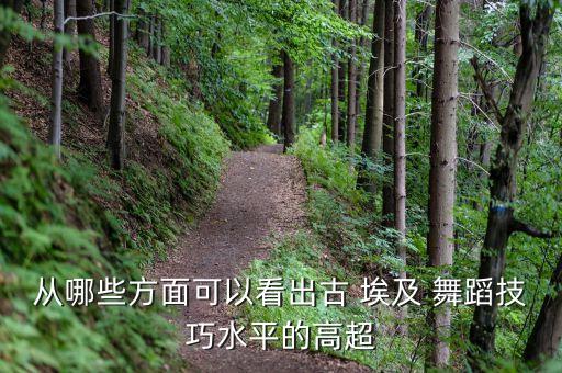 从哪些方面可以看出古 埃及 舞蹈技巧水平的高超