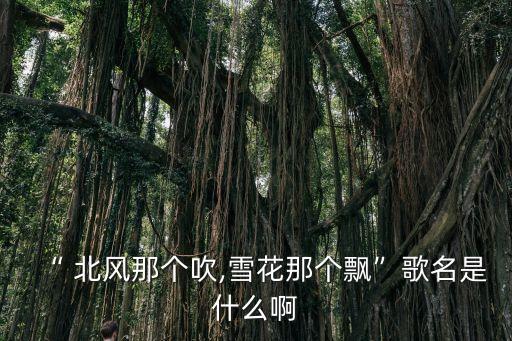 “ 北风那个吹,雪花那个飘”歌名是什么啊
