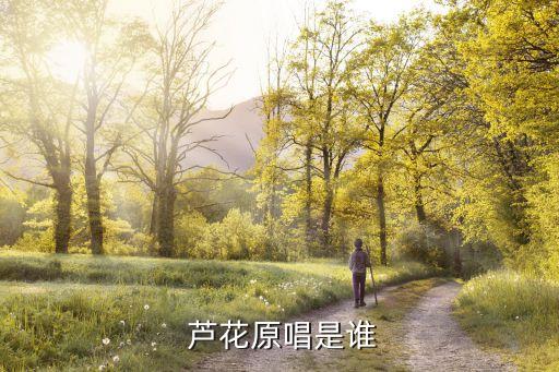  芦花原唱是谁