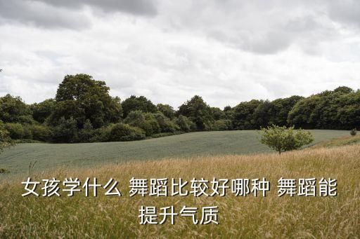 女孩学什么 舞蹈比较好哪种 舞蹈能提升气质