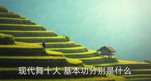 南方舞蹈学校基本功教学法,舞蹈基本功教学法教案