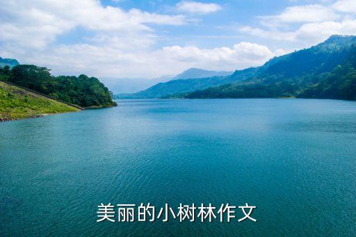 美丽的小树林作文