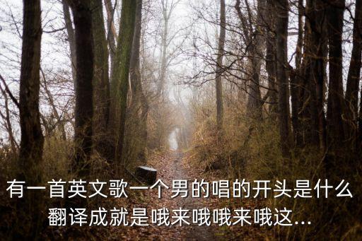 有一首英文歌一个男的唱的开头是什么翻译成就是哦来哦哦来哦这...