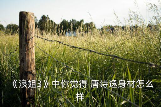 唐诗逸舞蹈视频欣赏,唐诗舞蹈