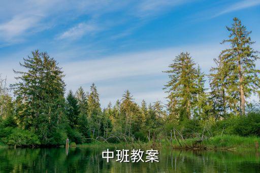 中班教案