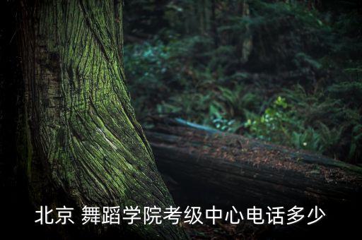 北京 舞蹈学院考级中心电话多少