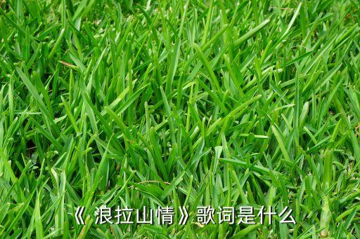 《 浪拉山情》歌词是什么
