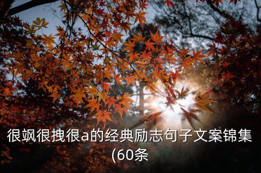 很飒很拽很a的经典励志句子文案锦集(60条
